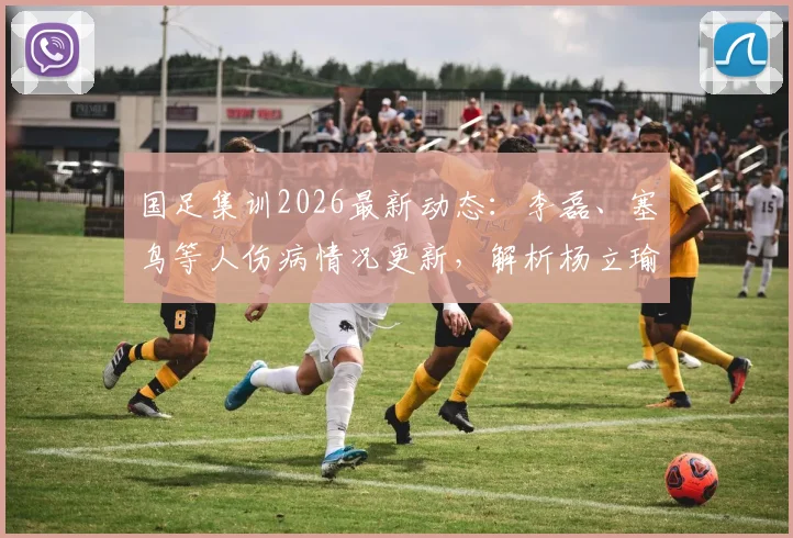 国足集训2026最新动态：李磊、塞鸟等人伤病情况更新，解析杨立瑜吴少聪离场原因及阵容影响